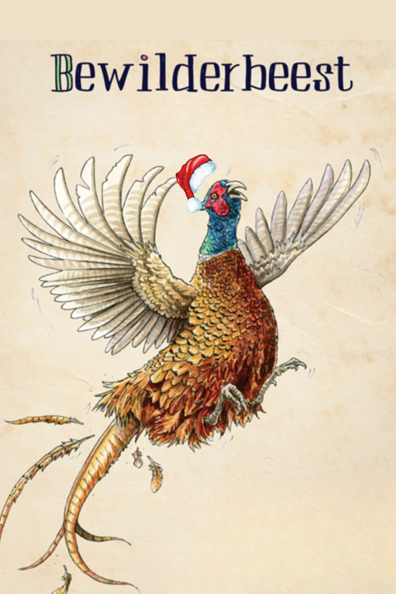 Bewilderbeest 2026 - Christmas